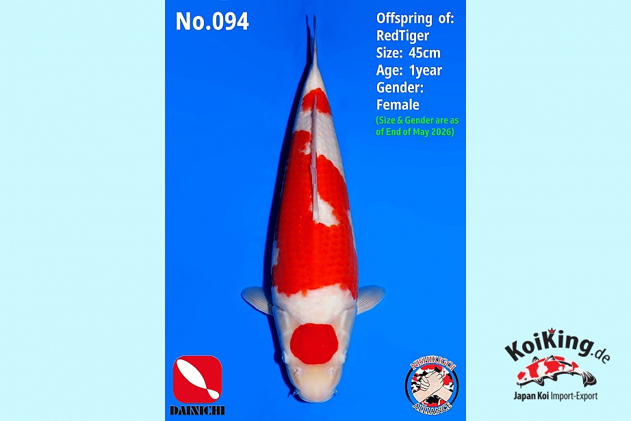 1Y Kohaku Nbr 094